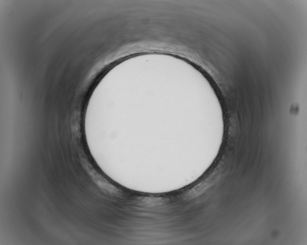 X0000100331499200807031222