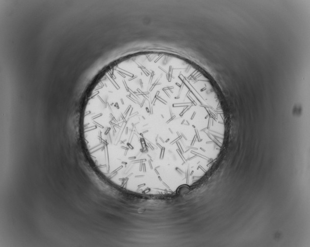 X0000100331503200807031222