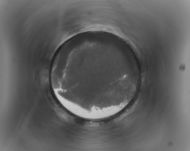 X0000100331505200807031222