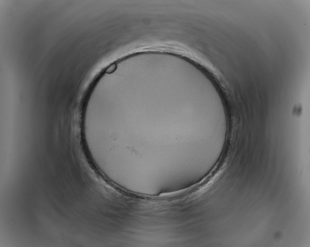 X0000100331506200807031222