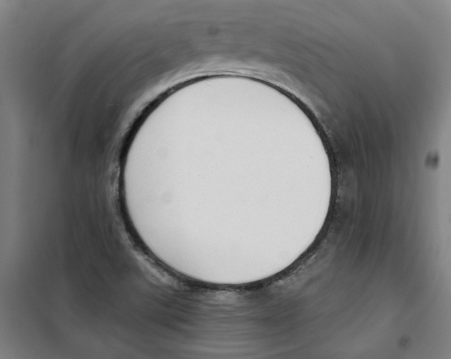 X0000100331507200807031222