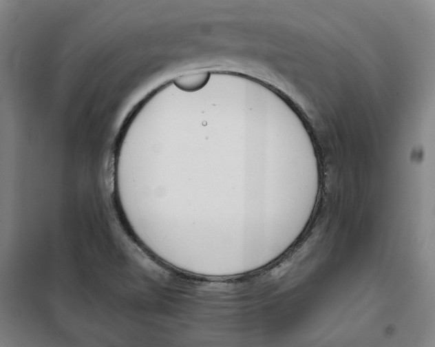 X0000100331510200807031222