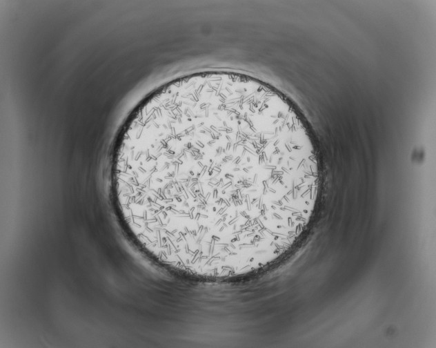 X0000100331511200807031222