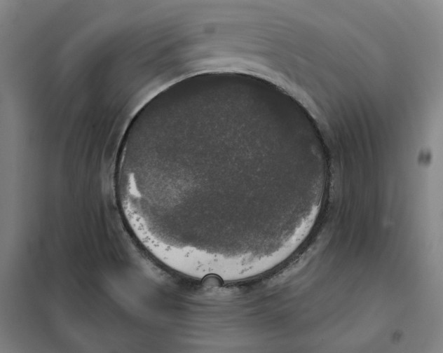 X0000100331513200807031222