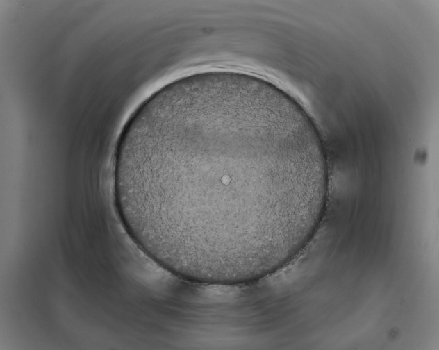 X0000100331514200807031222