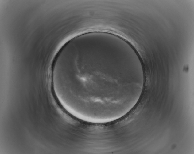 X0000100331515200807031222