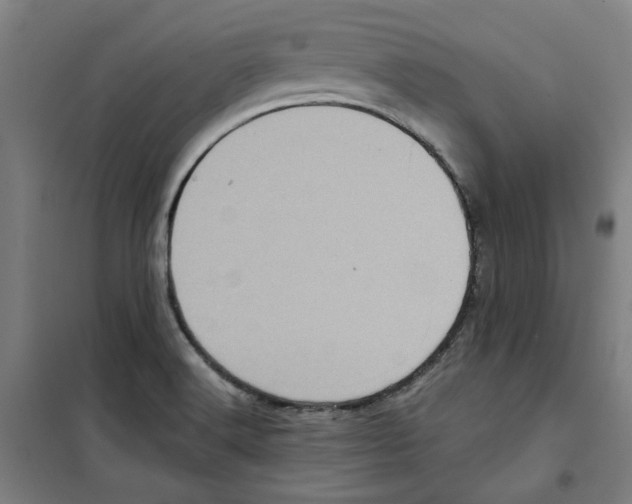 X0000100331516200807031222