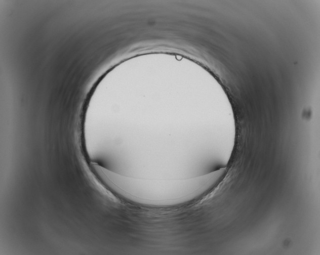 X0000100331518200807031222