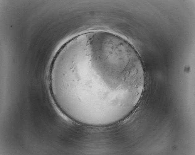 X0000100331519200807031222