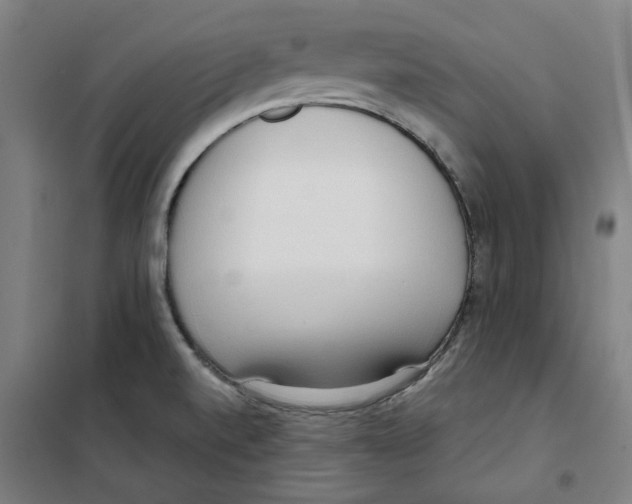 X0000100331520200807031222