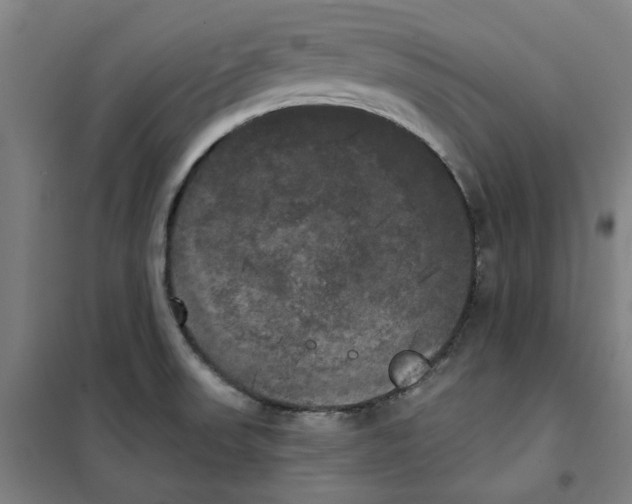 X0000100331523200807031222