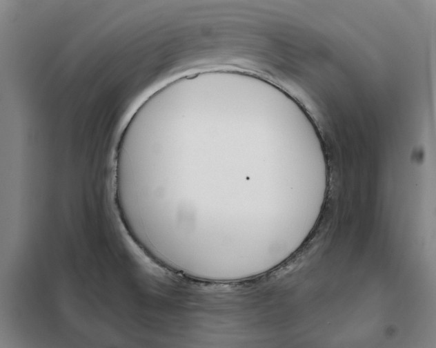 X0000100331524200807031222