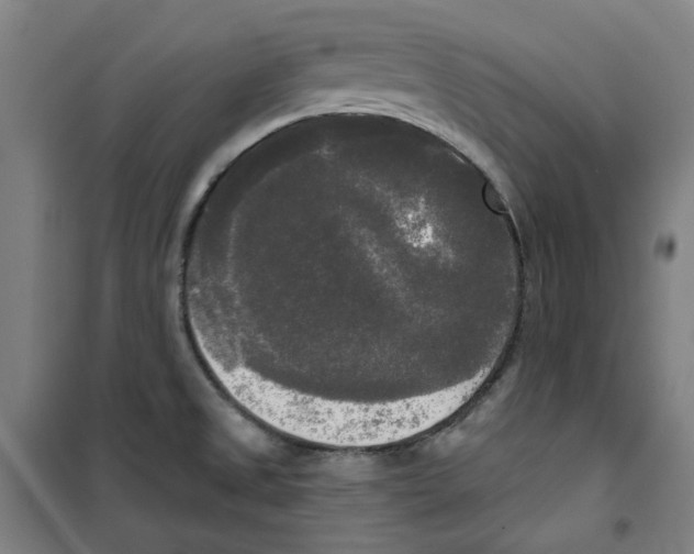 X0000100331525200807031222