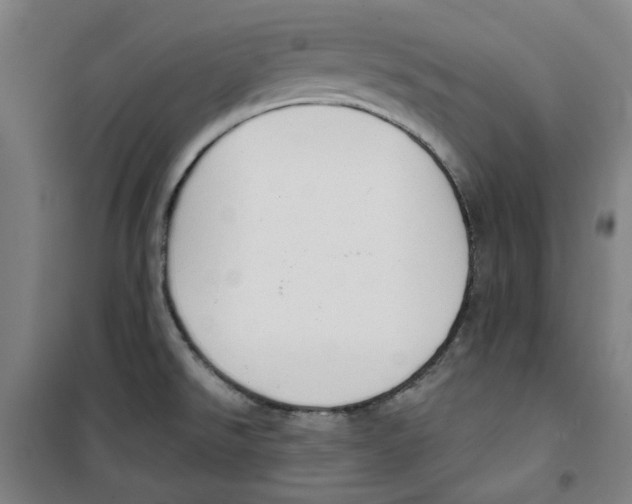 X0000100331526200807031222