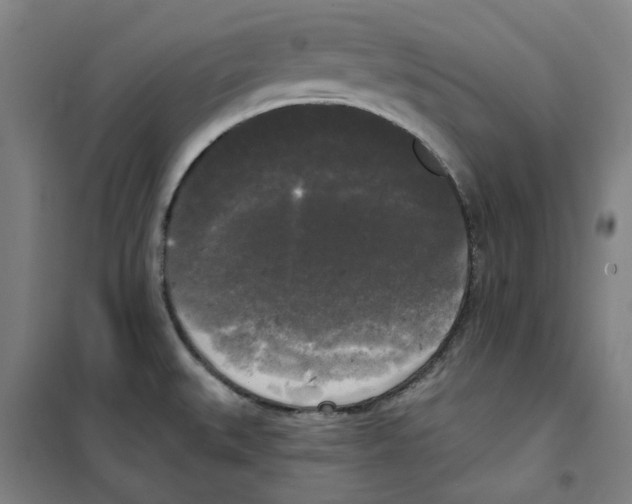 X0000100331527200807031222