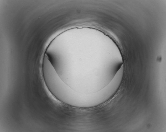 X0000100331528200807031222