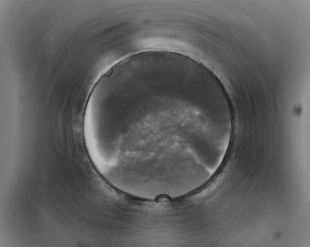 X0000100331529200807031222