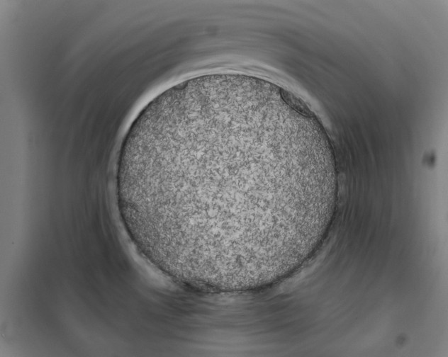 X0000100331530200807031222