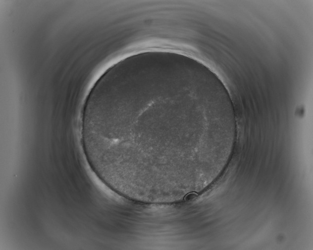 X0000100331531200807031222