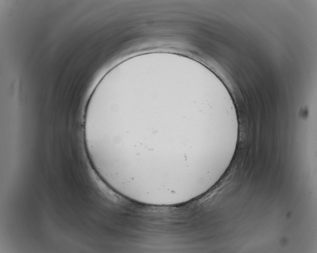 X0000100331532200807031222