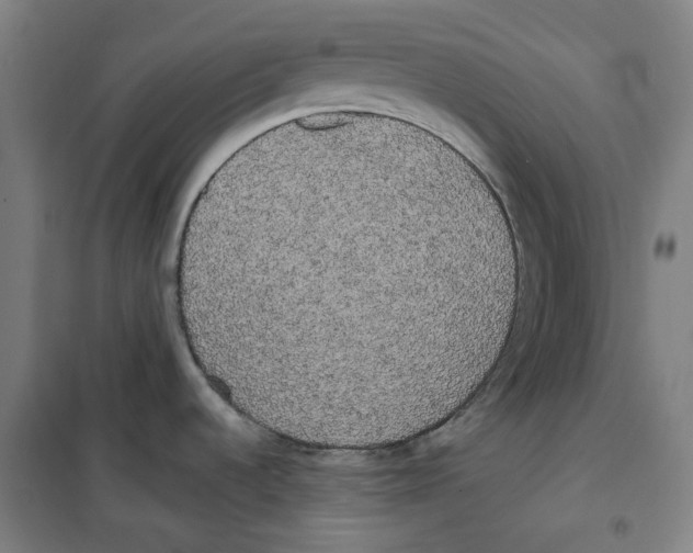 X0000100331536200807031222