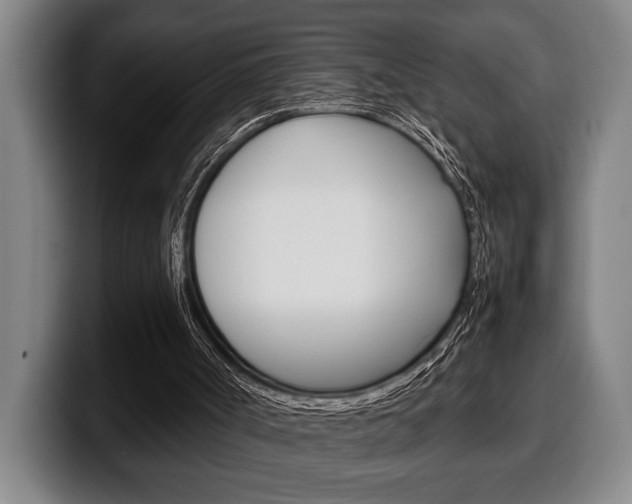 X0000100340002200806051235