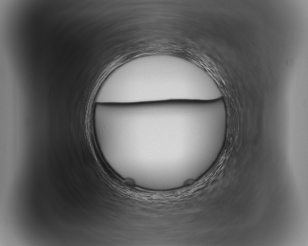 X0000100340003200806051235