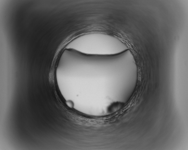 X0000100340004200806051235