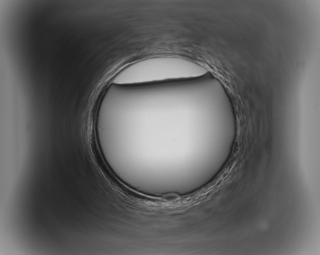 X0000100340005200806051235