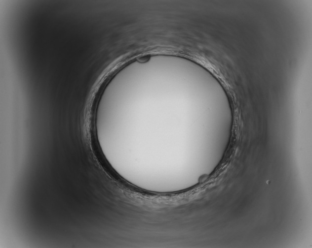 X0000100340007200806051235