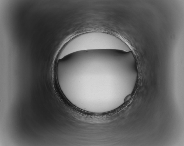 X0000100340008200806051235