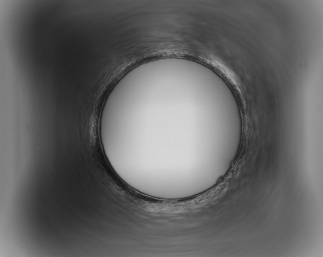 X0000100340009200806051234
