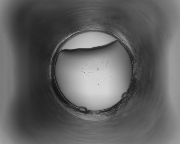 X0000100340012200806051234