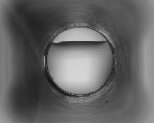X0000100340013200806051234
