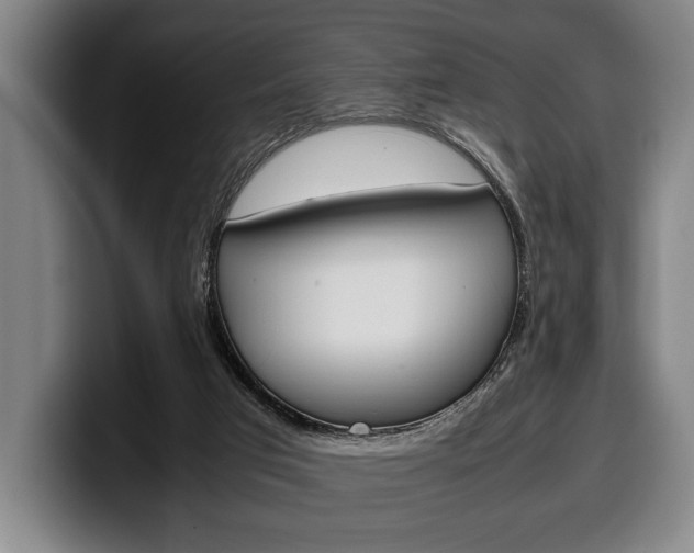 X0000100340017200806051234
