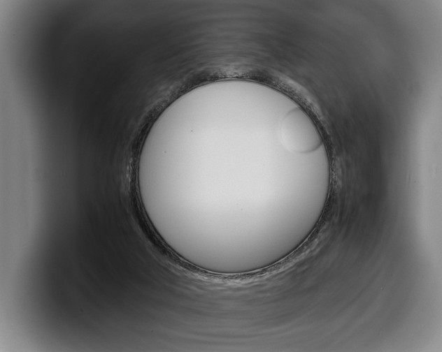 X0000100340018200806051234