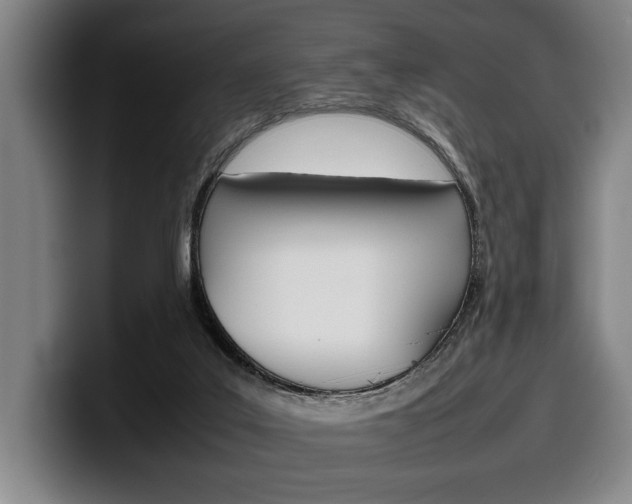 X0000100340019200806051234