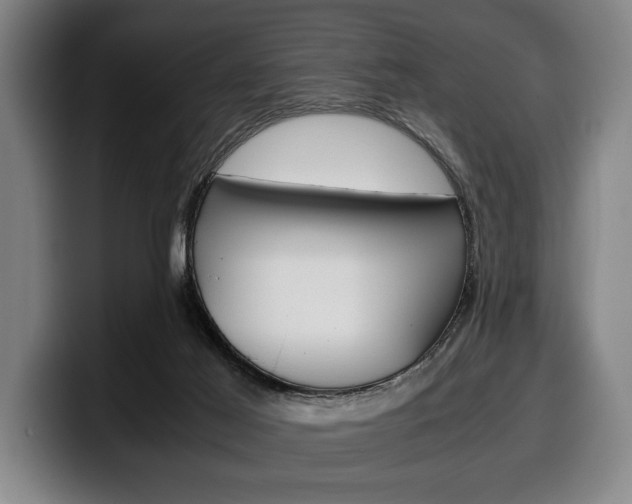X0000100340021200806051234