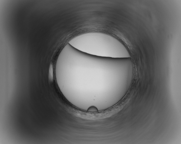 X0000100340022200806051234