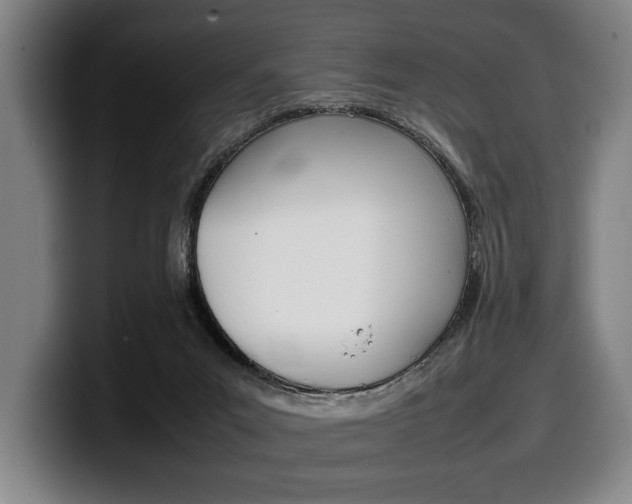 X0000100340023200806051234
