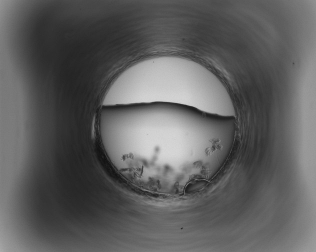 X0000100340024200806051234