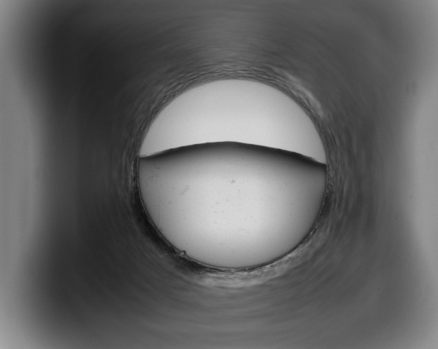 X0000100340025200806051234