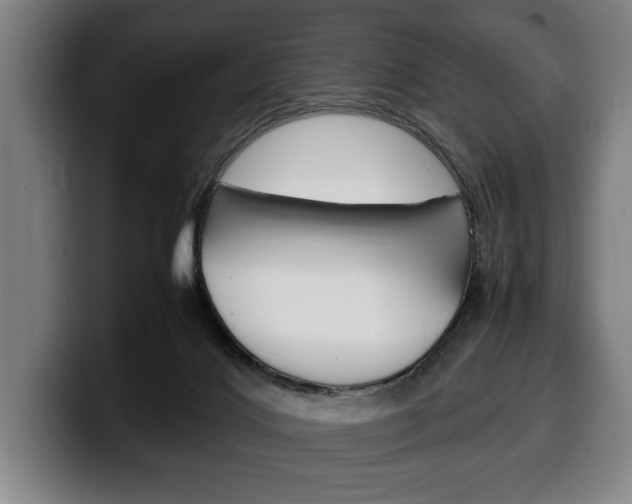 X0000100340028200806051234