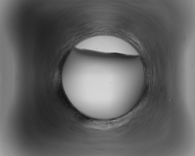 X0000100340029200806051234