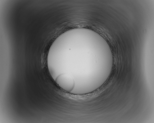 X0000100340030200806051234