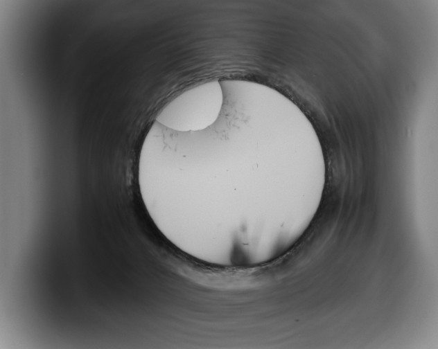 X0000100340032200806051234