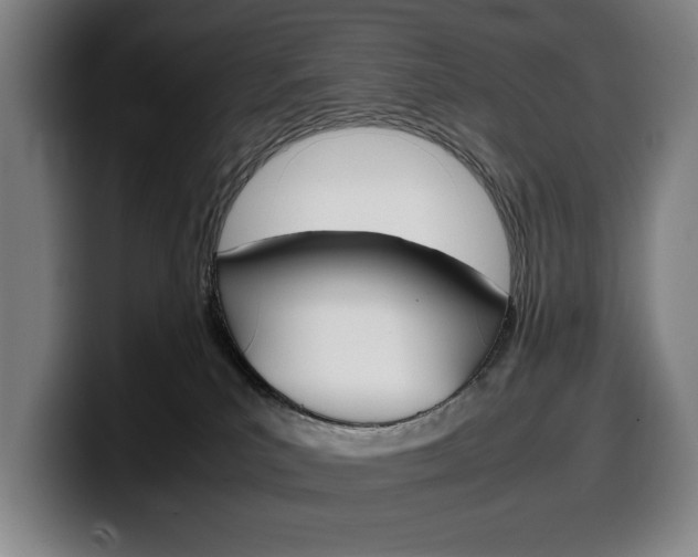 X0000100340039200806051234