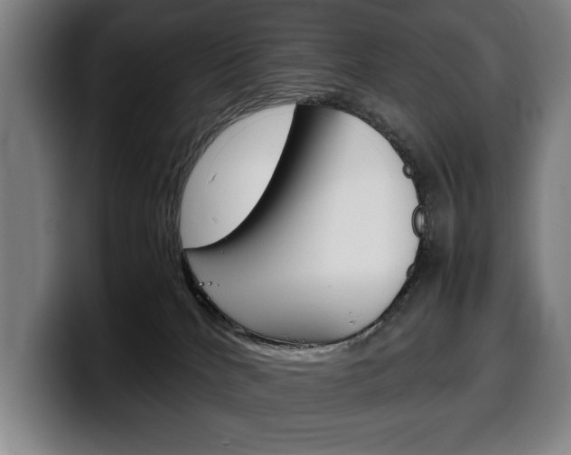 X0000100340040200806051234