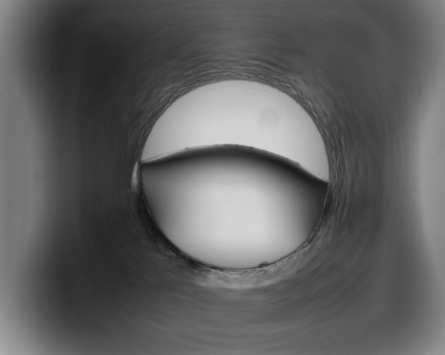 X0000100340041200806051234