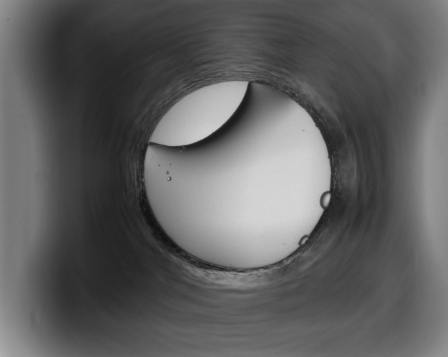 X0000100340044200806051234
